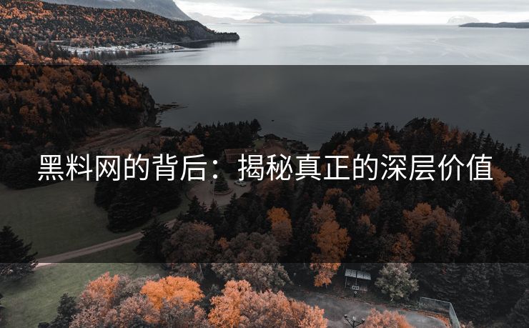 黑料网的背后：揭秘真正的深层价值