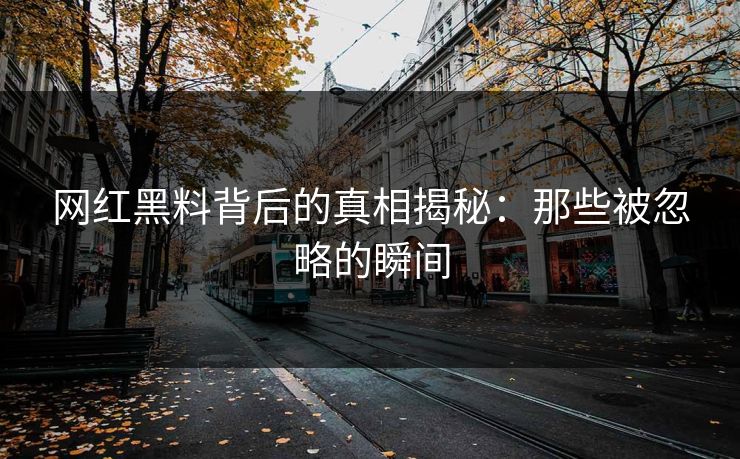 网红黑料背后的真相揭秘：那些被忽略的瞬间