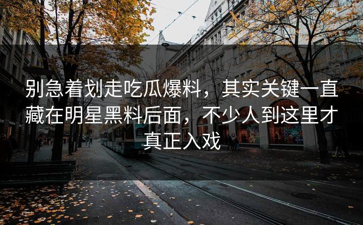 别急着划走吃瓜爆料，其实关键一直藏在明星黑料后面，不少人到这里才真正入戏