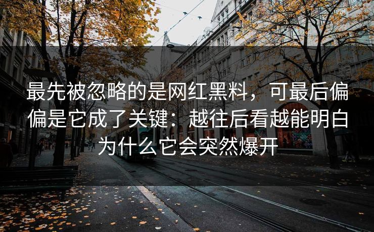 最先被忽略的是网红黑料，可最后偏偏是它成了关键：越往后看越能明白为什么它会突然爆开