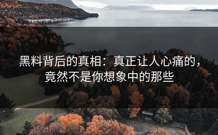 黑料背后的真相：真正让人心痛的，竟然不是你想象中的那些