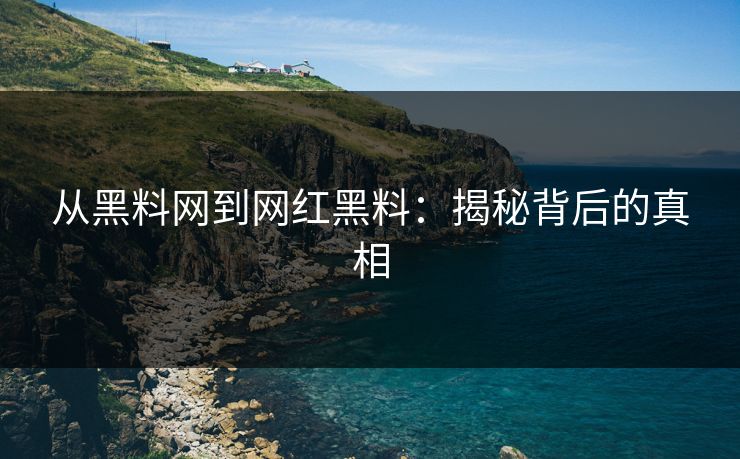 从黑料网到网红黑料：揭秘背后的真相