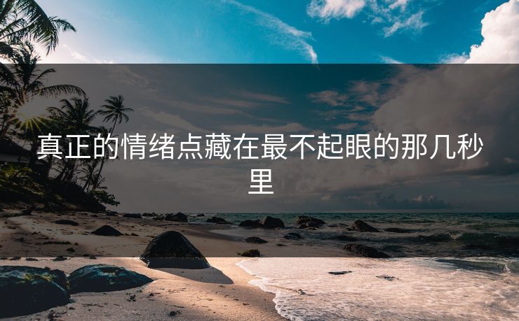 真正的情绪点藏在最不起眼的那几秒里