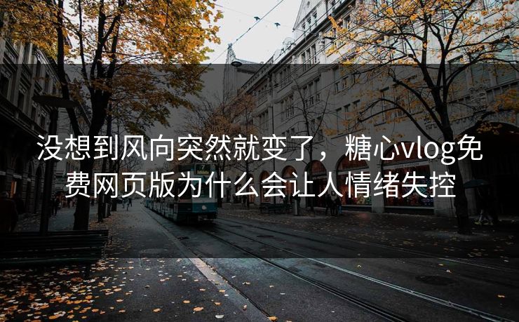 没想到风向突然就变了，糖心vlog免费网页版为什么会让人情绪失控
